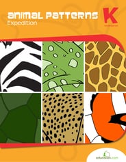 Animal Patterns Expedition