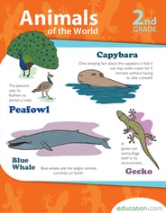 Animals of the World