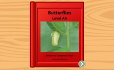 Butterflies: Level AA