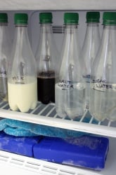 Do Some Liquids Expand More than Others When Frozen?