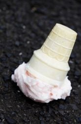 Is It Safe To Eat Something Dropped On The Floor As Long As You Pick It Up Within 5-Seconds? 