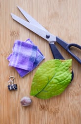 Exploring the Sense of Touch: Secret Feeling Boxes