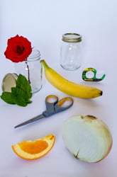 Exploring the Sense of Smell: Sniffing Jars