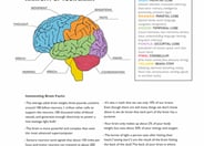 Parts of the Brain