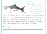Find the Main Idea: Shark