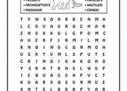 Fossils and Extinct Animals Wordsearch