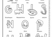 Animal Alphabet Placemat