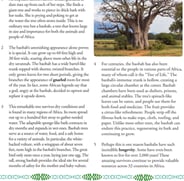Informational Reading Comprehension: Baobab, Tree of Life