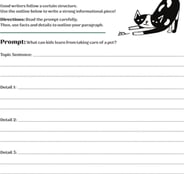 Organize Your Informational Essay: Pets