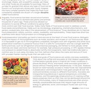 Extended Informational Reading Comprehension: Food Science 