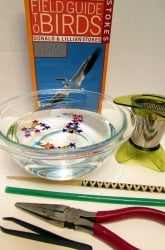 Brilliant Bird Beaks: An Experiment to Understand Animal Adaptation   