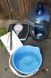 Centripetal and Centrifugal Force