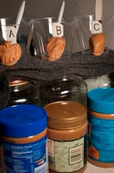 Peanut Butter Anyone? Which Tastes Better, Commercial Brands or Organic Brands?