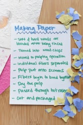Paper Making: The Next Level