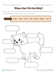 Where Can I Pet the Kitty?