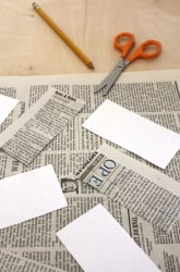 African Savanna Animal Adaptations: Camouflage