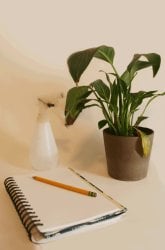 Soil Space: A Crowded Science