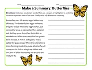 Make a Summary: Butterflies