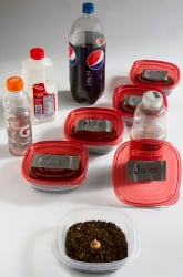 Do Plants Need Water?  