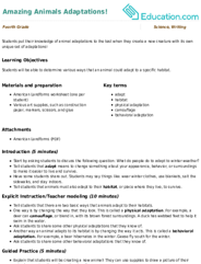 Amazing Animals Adaptations!