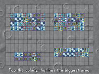 Colony Area Measurement