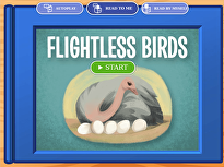 Flightless Birds