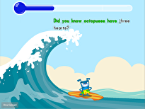 Typing Sentences for Accuracy: Nature Facts Surfing