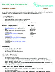 The Life Cycle of a Butterfly