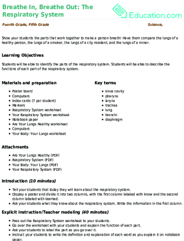 Breathe In, Breathe Out: The Respiratory System