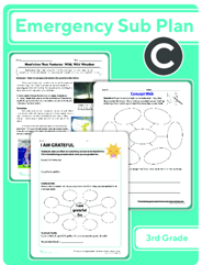 Third Grade Daily Sub Plan 3