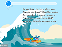 Typing Paragraphs for Accuracy: Fun Facts Surfing
